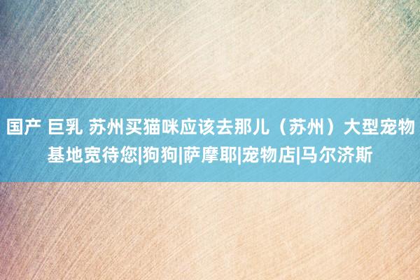 国产 巨乳 苏州买猫咪应该去那儿（苏州）大型宠物基地宽待您|狗狗|萨摩耶|宠物店|马尔济斯