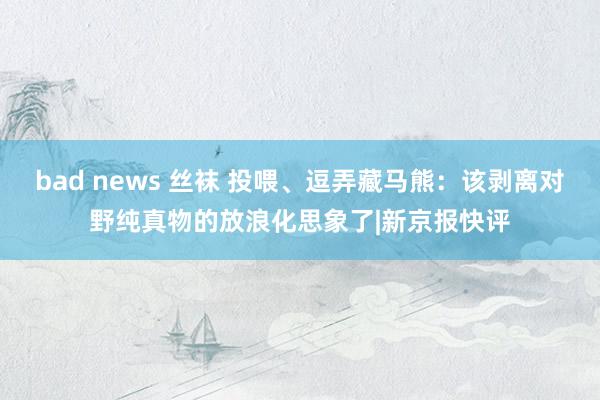 bad news 丝袜 投喂、逗弄藏马熊：该剥离对野纯真物的放浪化思象了|新京报快评